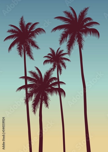 palm tree silhouette © Sergey