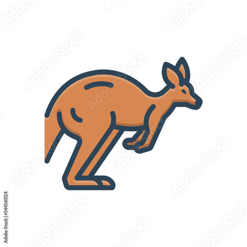Color illustration icon for australian wallaby