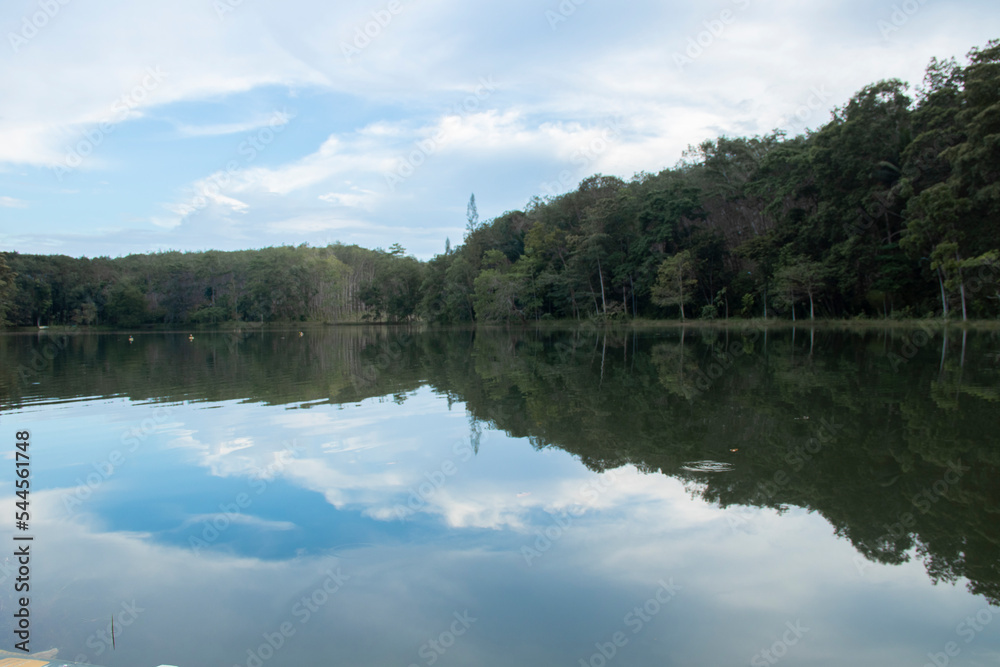 Landscape of trees and sky and reflections on the water surface Landscape of trees and sky and reflections on the water surface