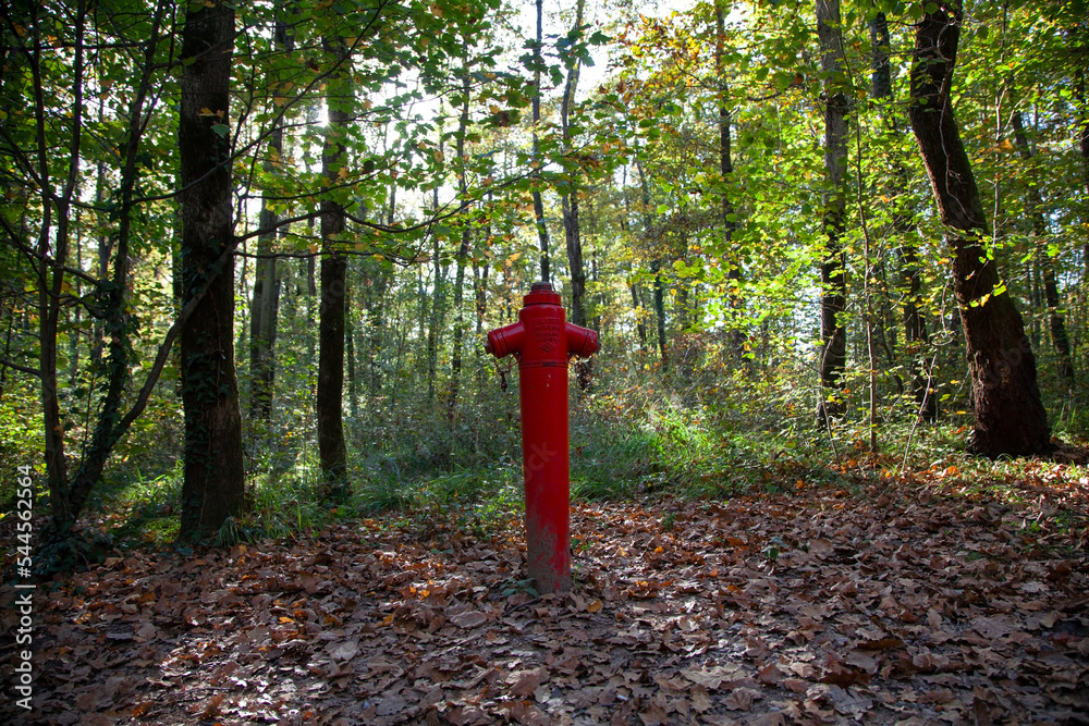 Fire Hydrant in the forest. Protection of the forest by fires. Red fire hydrant in the edge of the forest. Wildfire or forest fire safety concept. forest fire protector. forest fire extinguisher. Fire Hydrant in the forest. Protection of the forest by fires. Red fire hydrant in the edge of the forest. Wildfire or forest fire safety concept. forest fire protector. forest fire extinguisher.