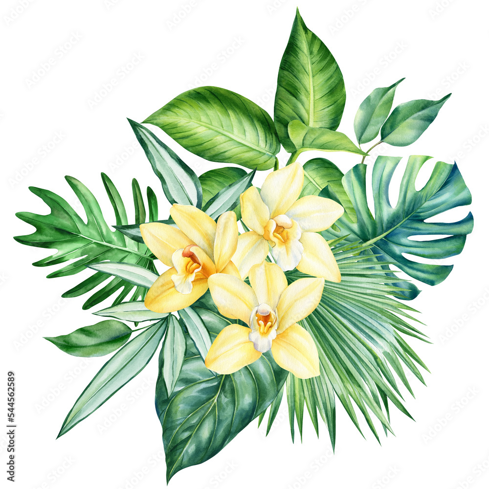 Watercolor Jungle green plant.Tropical leaves and flower orchid isolated on white background. Botanical illustration