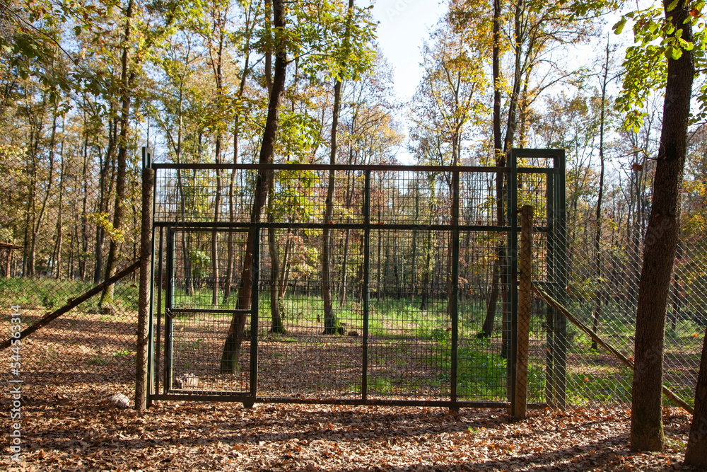 Old wooden gate in a beautiful landscape by spring season
Old wooden gate in a beautiful landscape by spring season