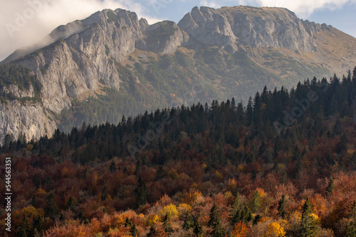 autumn in the mountains, Belianske Tatras, Slovakia