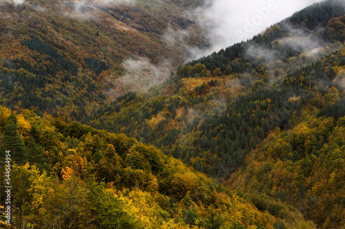 Autumn landscape with colorfull trees and some fog between the montains. 