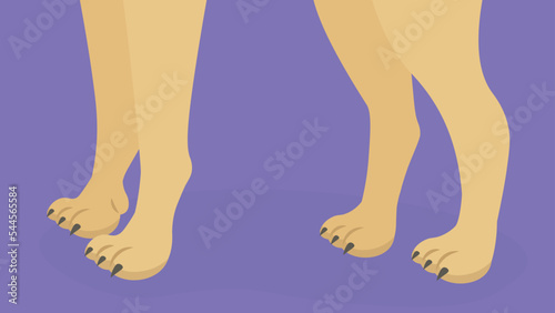 Four paws of a dog - illustration © Volodymyr