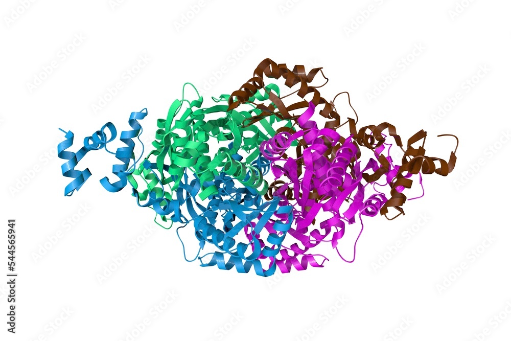 Thermodynamic and structure guided design of statin hmgcoa reductase