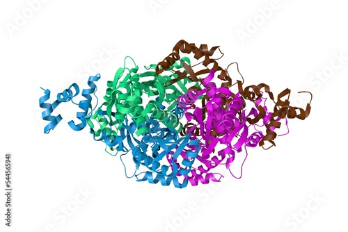Thermodynamic and structure guided design of statin hmg-coa reductase inhibitors. Ribbons diagram with differently colored protein chains based on protein data bank entry 3cd7. 3d illustration photo