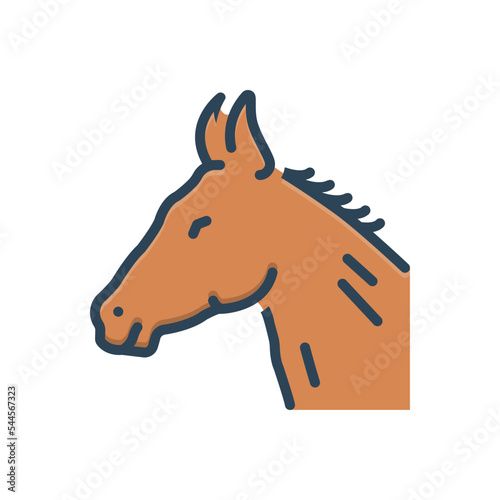 Color illustration icon for horse