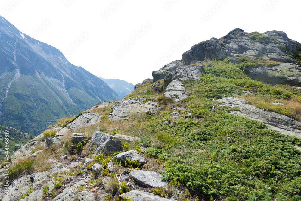 Fototapeta premium Isolated cutout mountains in the Alps in summer on a white background
