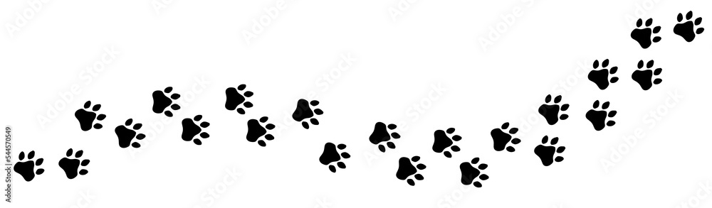 Φωτογραφία Isolated trail of black footprints (comics silhuoette shapes of a cat paw or a similar animal), going from the left to the right (horizontal orientation)