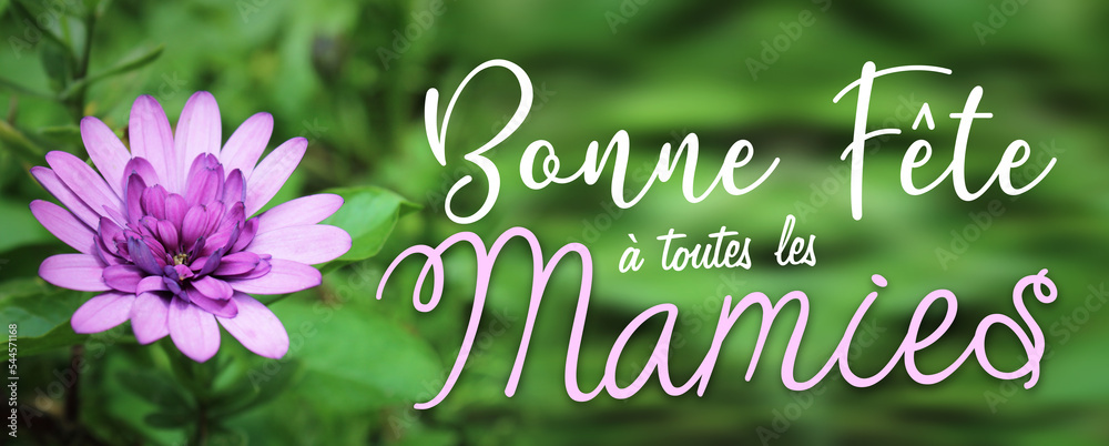 Fête des grand-mères, bonne fête à toutes les mamies Stock Photo