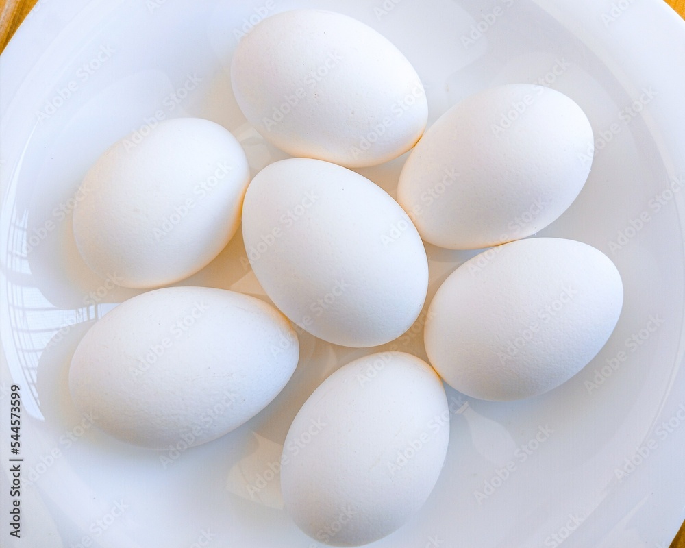 Eggs chicken egg hen-eggs poultry white hen eggs fowl eggs anda oeuf ei uovo heuvo in a plate bowl closeup view image stock photo Eggs chicken egg hen-eggs poultry white hen eggs fowl eggs anda oeuf ei uovo heuvo in a plate bowl closeup view image stock photo