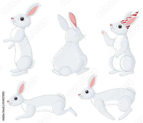 White rabbits in different poses set