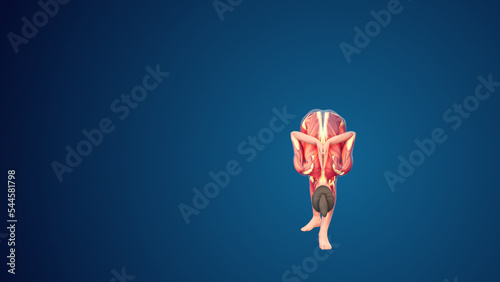 3D human Parsvottanasana Variation with arms in reverse namaskar yoga pose on blue background photo