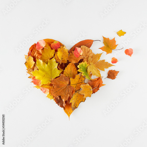 Creative heart shaped layout made from natural autumn leaves on white background. Minimal flat lay. Autumn season concept.