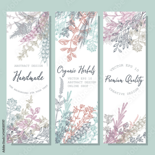 A set of images with plants. Herbs and spices. 
Vector for design.