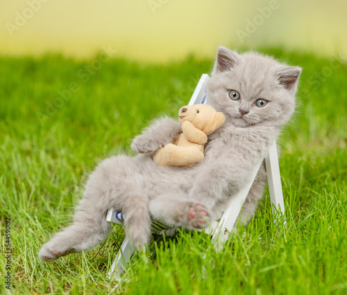 Relaxed cat hugs a toy bear and enjoys relaxing in an armchair on the summer grass