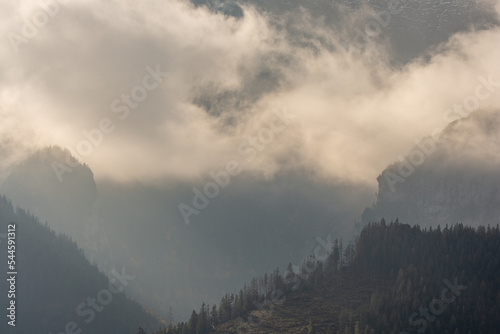 misty morning in the mountains  Belianske Tatras  Slovakia