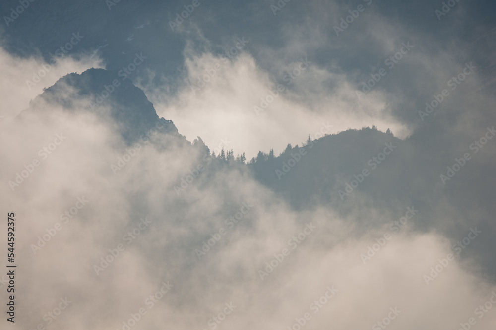 fog in the mountains, Belianske Tatras, Slovakia