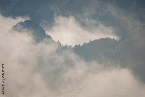 Fototapeta Naklejka Na Ścianę i Meble -  fog in the mountains, Belianske Tatras, Slovakia