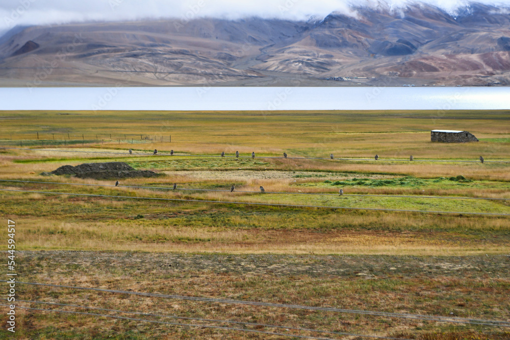Obraz premium Tso Moriri is a lake in the Changthang Plateau of Ladakh in India. The lake and surrounding area are protected as the Tso Moriri Wetland Conservation Reserve. The lake is at an altitude of 4,522 m.