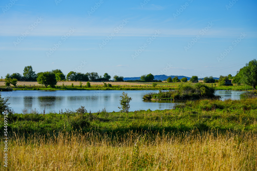 Glockenborn nature reserve in the Bründersen district near Wolfhagen. Landscape with wet meadows and small ponds.
