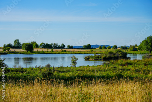 Glockenborn nature reserve in the Bründersen district near Wolfhagen. Landscape with wet meadows and small ponds.
