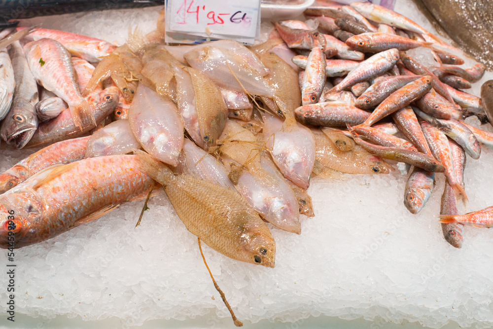 fresh fish seafood on ice at farmers' covered market