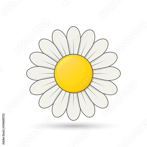 Daisy Cute Flower, simple shadow, daisy vector, flower sign.