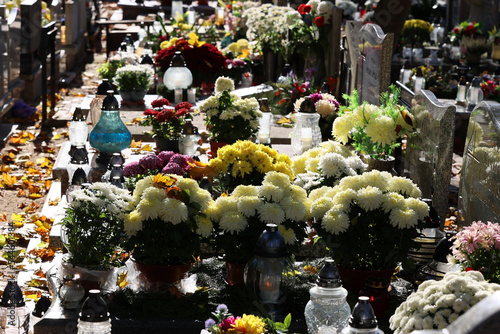 Kolorowe kwiaty chryzantemy na grobach na cmentarzu.  photo