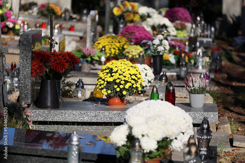 Kolorowe kwiaty chryzantemy na grobach na cmentarzu.  photo