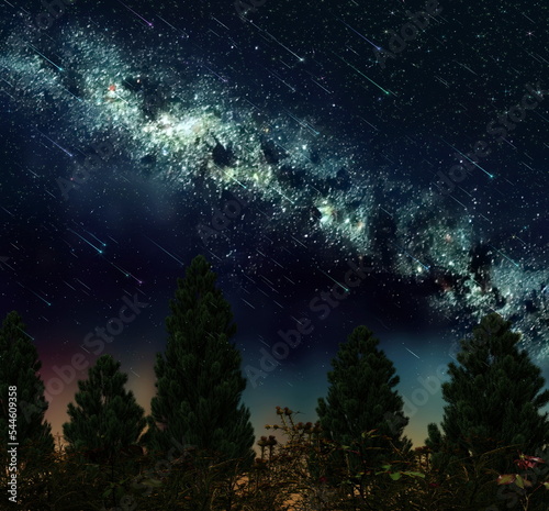 Starry sky nebula on night and dark forest plant and tree moon and Aurora light flares nature landscape wonderland 