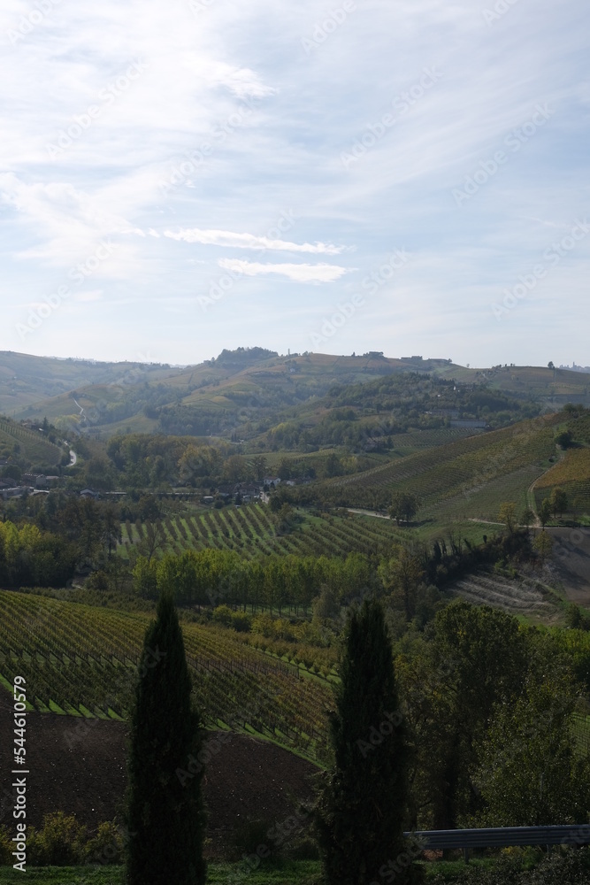 Vue sur les vignes