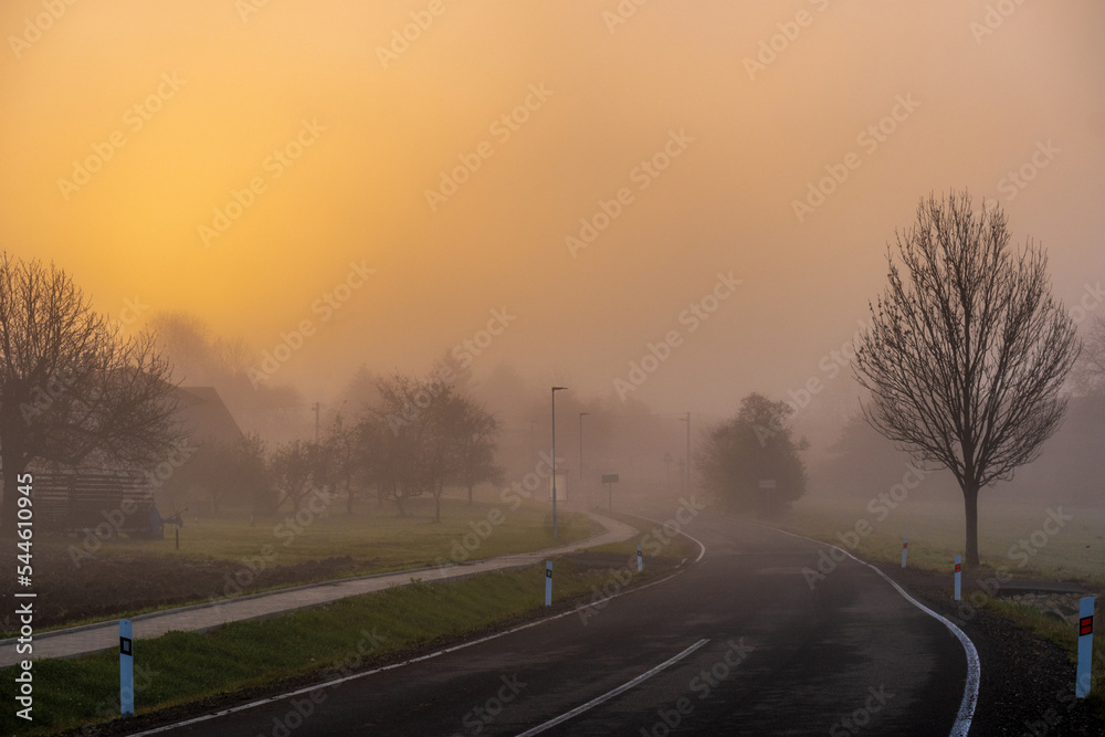 morning in the fog morning in the fog