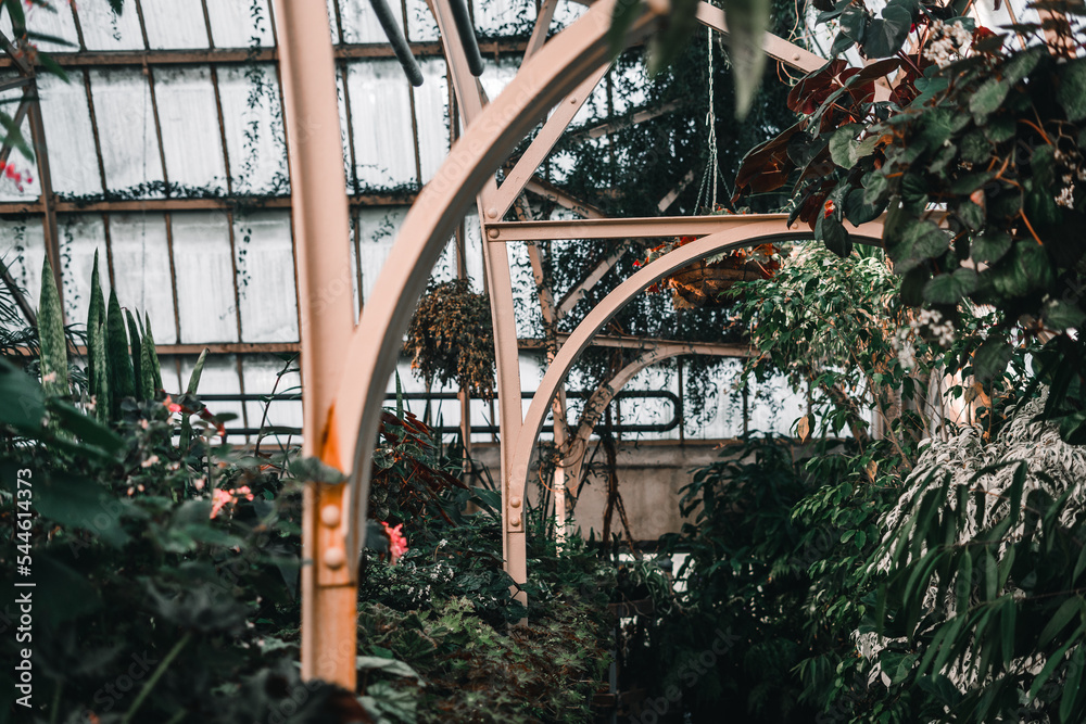 greenhouse of a botanic garden with large windows that protect the many plants of different sizes that live inside, botanic garden christchurch, new zealand