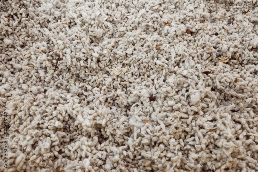 Raw cotton background. close up of organic cotton. Natural cotton for design banner and artwork Raw cotton background. close up of organic cotton. Natural cotton for design banner and artwork