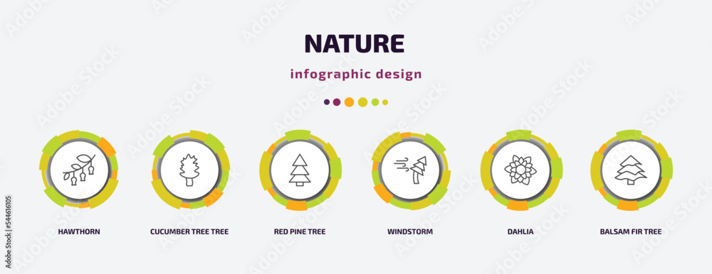 nature infographic template with icons and 6 step or option. nature icons such as hawthorn, cucumber tree tree, red pine tree, windstorm, dahlia, balsam fir vector. can be used for banner, info nature infographic template with icons and 6 step or option. nature icons such as hawthorn, cucumber tree tree, red pine tree, windstorm, dahlia, balsam fir vector. can be used for banner, info
