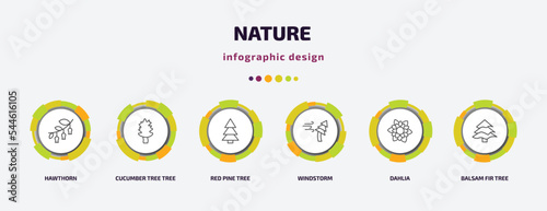 nature infographic template with icons and 6 step or option. nature icons such as hawthorn, cucumber tree tree, red pine tree, windstorm, dahlia, balsam fir vector. can be used for banner, info