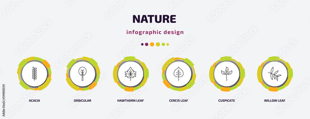 nature infographic template with icons and 6 step or option. nature icons such as acacia, orbicular, hawthorn leaf, cercis leaf, cuspicate, willow leaf vector. can be used for banner, info graph, nature infographic template with icons and 6 step or option. nature icons such as acacia, orbicular, hawthorn leaf, cercis leaf, cuspicate, willow leaf vector. can be used for banner, info graph,