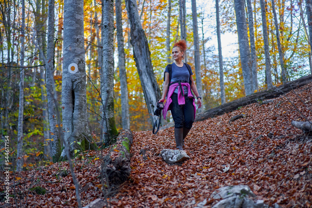 Woman nature photographer in the forest Woman nature photographer in the forest