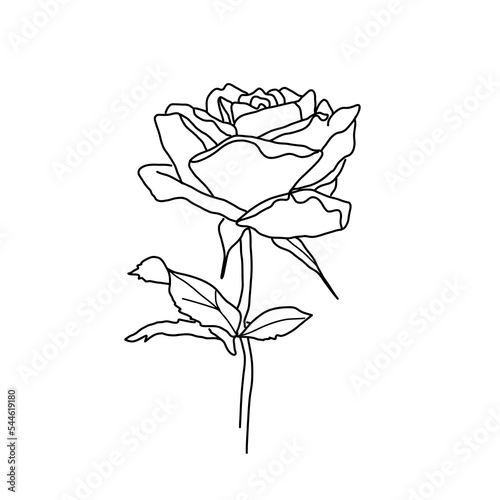 rose line illustration. Flower vector icon