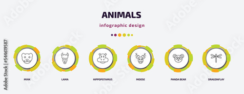 animals infographic template with icons and 6 step or option. animals icons such as mink, lama, hippopotamus, moose, panda bear, dragonflay vector. can be used for banner, info graph, web,