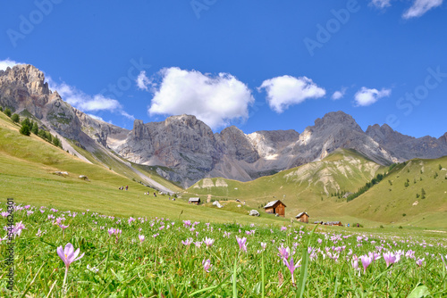 View of Fuciade Valley in the Dolomites photo