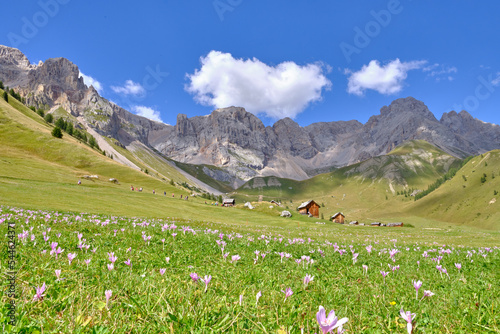 View of Fuciade Valley in the Dolomites photo