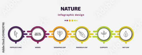 nature infographic template with icons and 6 step or option. nature icons such as fertilize clinic, woods, sassafras leaf, magnolia leaf, cuspicate, nut leaf vector. can be used for banner, info