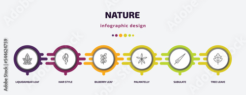 nature infographic template with icons and 6 step or option. nature icons such as liquidambar leaf, hair style, bilberry leaf, palmatelly, subulate, tree leave vector. can be used for banner, info