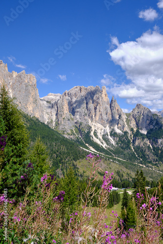 Panoramas of the Alpe Ciampedie, Vigo di Fassa, Val di Fassa, Trento, Trentino Alto Adige, Italy © Matteo
