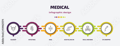 medical infographic template with icons and 6 step or option. medical icons such as bladder, intestines, knee, acid falling on hand, skull and bone, eye dropper vector. can be used for banner, info