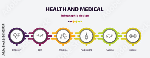 health and medical infographic template with icons and 6 step or option. health and medical icons such as cardiology, beat, treadmill, punching bag, pancreas, exercise vector. can be used for