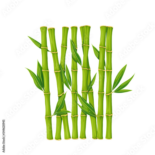 Bamboo branch with leaves vector illustration. Cartoon isolated vertical stalks with fresh green foliage on stem, grass plant from bamboo grove or garden, tropical summer and zen traditional symbol